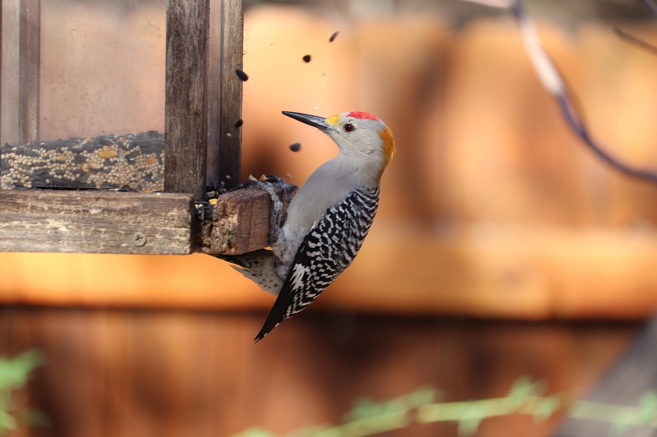 Repurpose Your Grandma's Old Teapot into a Bird Feeder